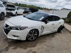 Salvage cars for sale at Louisville, KY auction: 2016 Nissan Maxima 3.5S