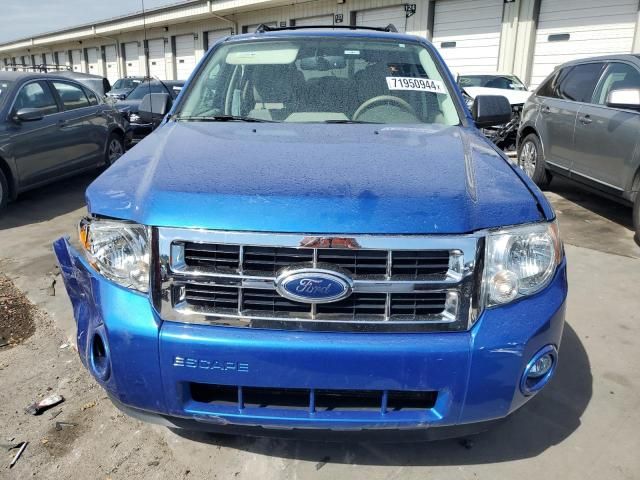 2012 Ford Escape XLT