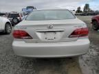 2005 Lexus ES 330