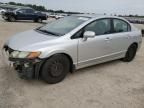 2008 Honda Civic EXL