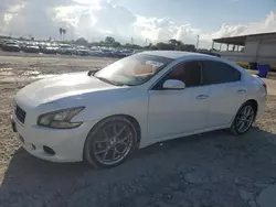 Salvage cars for sale at Corpus Christi, TX auction: 2011 Nissan Maxima S