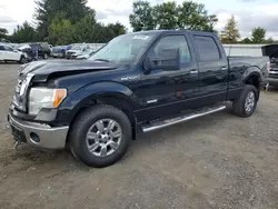 Ford salvage cars for sale: 2011 Ford F150 Supercrew