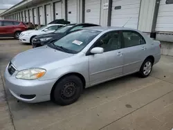 Toyota Vehiculos salvage en venta: 2007 Toyota Corolla CE