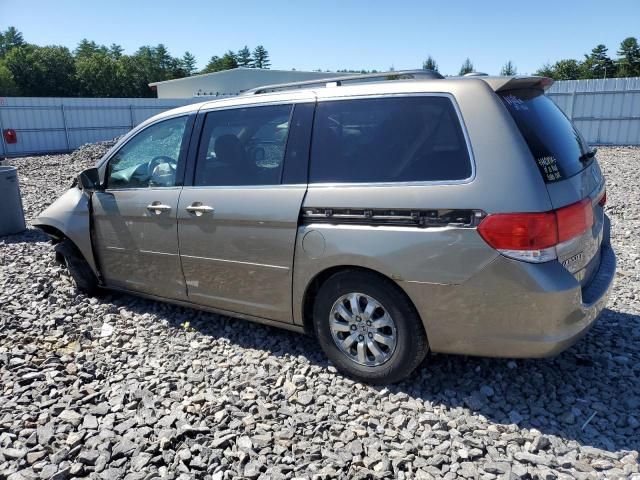 2010 Honda Odyssey EXL