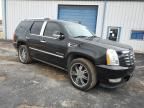 2011 Cadillac Escalade Premium