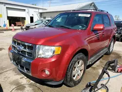 Salvage cars for sale at Pekin, IL auction: 2012 Ford Escape Limited