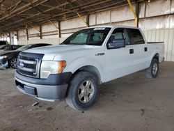 Salvage cars for sale at Phoenix, AZ auction: 2013 Ford F150 Supercrew