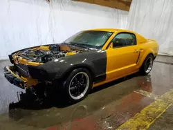 Salvage cars for sale from Copart Marlboro, NY: 2008 Ford Mustang GT