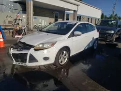 Ford salvage cars for sale: 2013 Ford Focus SE