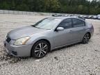 2008 Nissan Maxima SE