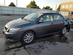 Salvage cars for sale at Littleton, CO auction: 2010 Toyota Corolla Base