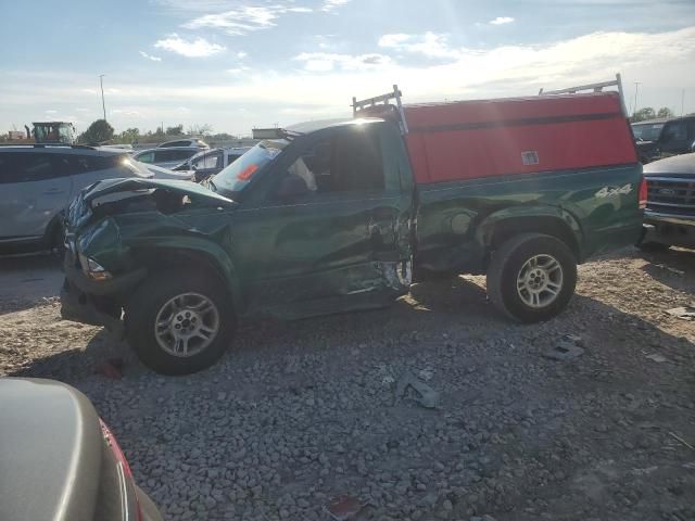 2003 Dodge Dakota SXT