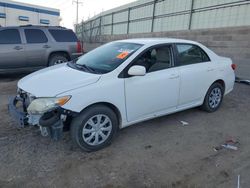 Salvage cars for sale at Albuquerque, NM auction: 2011 Toyota Corolla Base