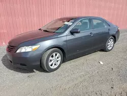 Toyota Vehiculos salvage en venta: 2007 Toyota Camry LE