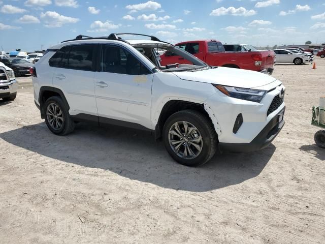 2024 Toyota Rav4 XLE Premium