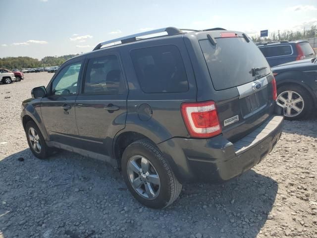 2009 Ford Escape Limited