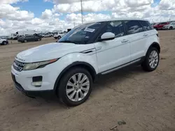 Salvage cars for sale at Amarillo, TX auction: 2014 Land Rover Range Rover Evoque Prestige Premium