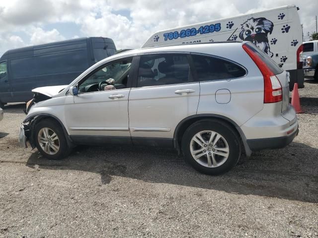 2010 Honda CR-V EXL