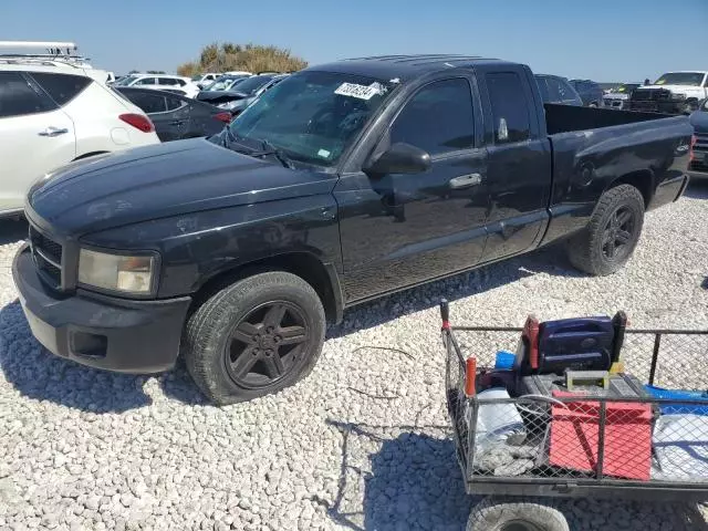 2011 Dodge Dakota SLT