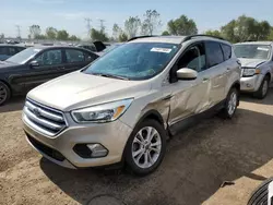 Salvage cars for sale at Elgin, IL auction: 2018 Ford Escape SE