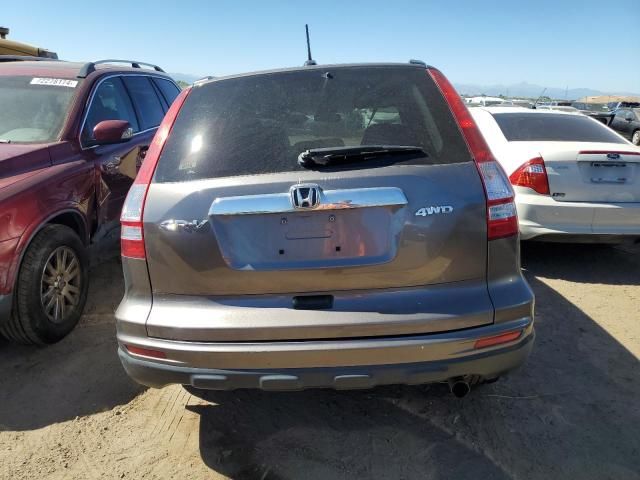 2010 Honda CR-V EXL