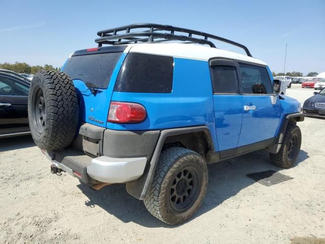 2007 Toyota FJ Cruiser