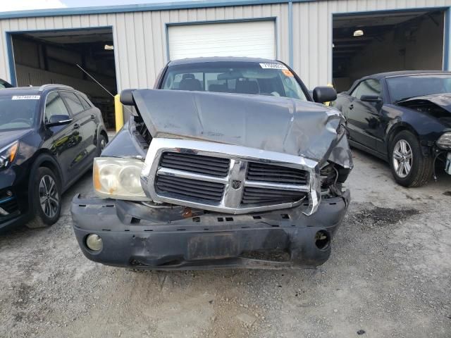 2005 Dodge Dakota SLT