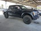 2024 Ford F150 Raptor