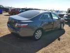 2007 Toyota Camry Hybrid