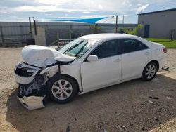 Salvage cars for sale at Arcadia, FL auction: 2010 Toyota Camry Base