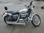 2005 Harley-Davidson XL1200 C