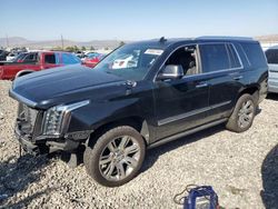 Salvage cars for sale at Reno, NV auction: 2017 Cadillac Escalade Premium Luxury