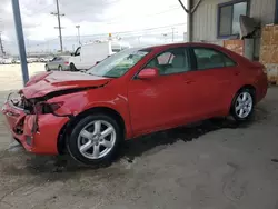 Salvage cars for sale from Copart Los Angeles, CA: 2010 Toyota Camry Base