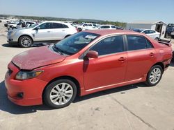 Toyota salvage cars for sale: 2010 Toyota Corolla Base