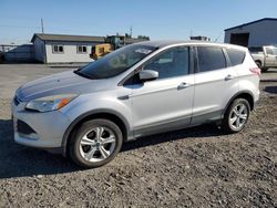 Salvage cars for sale at Airway Heights, WA auction: 2013 Ford Escape SE