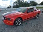 2005 Ford Mustang