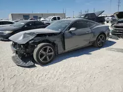 Salvage cars for sale at Haslet, TX auction: 2024 Ford Mustang