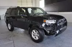 Salvage cars for sale at Farr West, UT auction: 2022 Toyota 4runner SR5