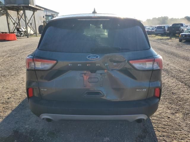 2020 Ford Escape SE