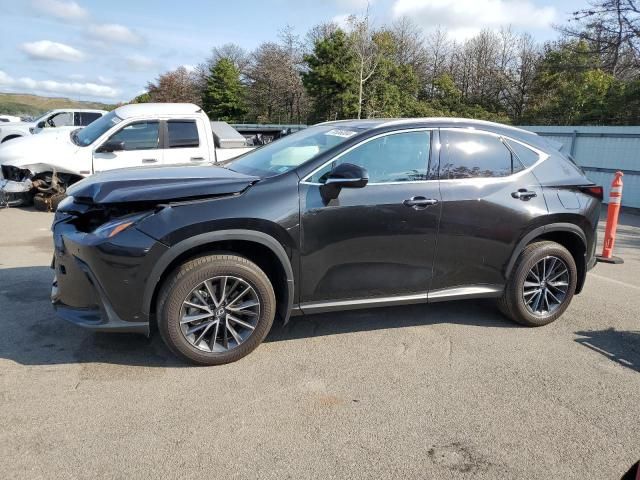 2024 Lexus NX 350H Base