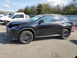 Lexus Vehiculos salvage en venta: 2024 Lexus NX 350H Base