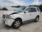 2010 Ford Escape Limited