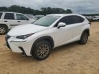 2019 Lexus NX 300H