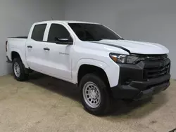 2024 Chevrolet Colorado en venta en Los Angeles, CA