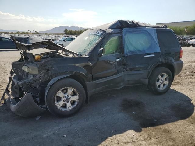 2007 Ford Escape XLT