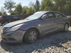 Hyundai Vehiculos salvage en venta: 2013 Hyundai Sonata GLS