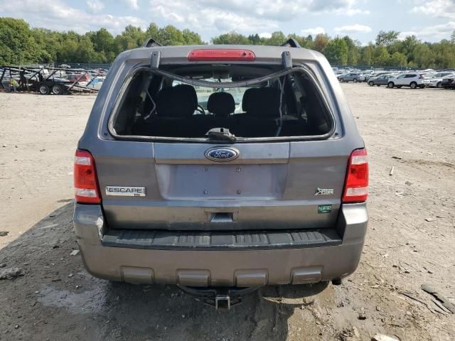 2010 Ford Escape XLT