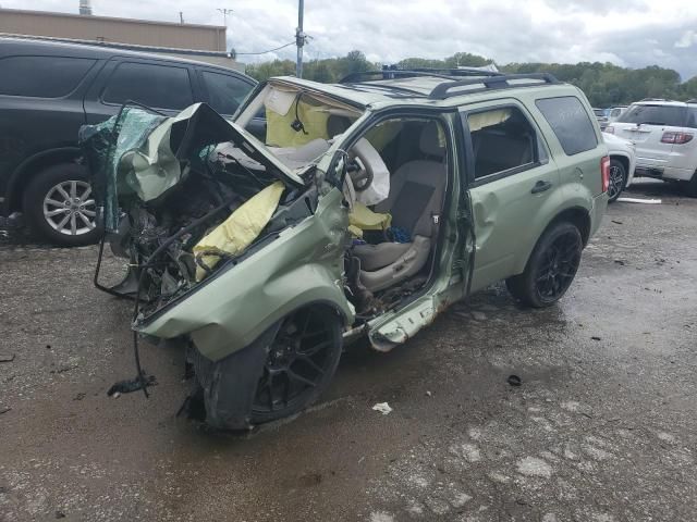 2008 Ford Escape XLT