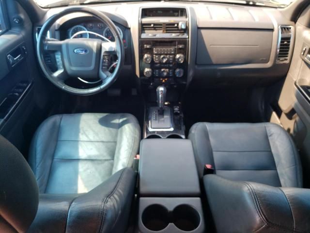 2010 Ford Escape Limited