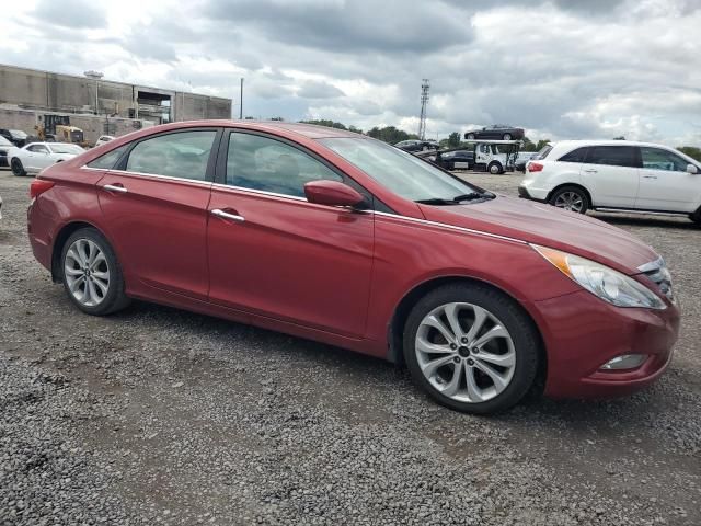 2013 Hyundai Sonata SE